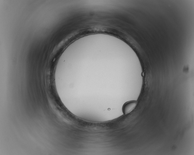 X0000113210722200910081316