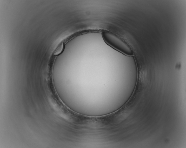 X0000113210724200910081316