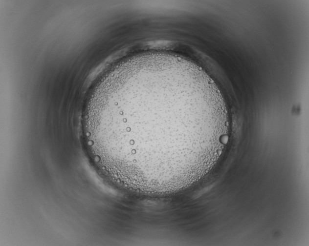 X0000113210725200910081316