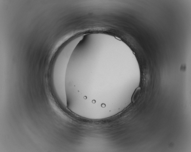 X0000113210726200910081316