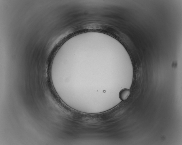 X0000113210727200910081316