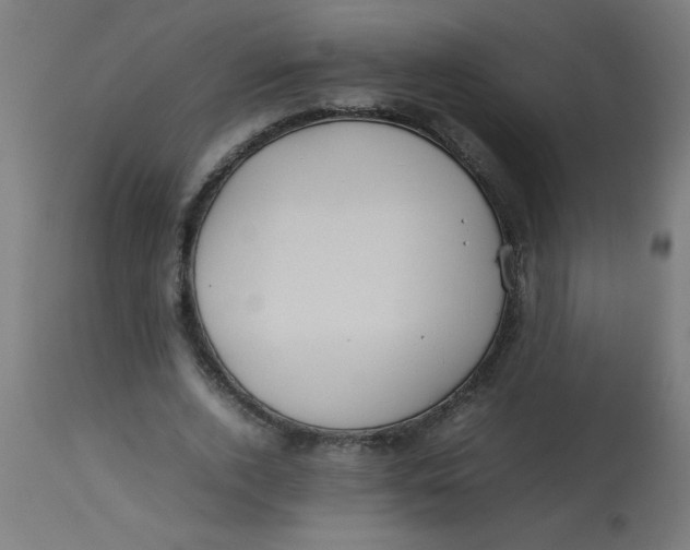 X0000113210728200910081316