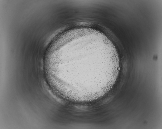 X0000113210729200910081316