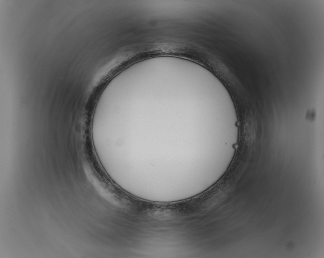 X0000113210730200910081316