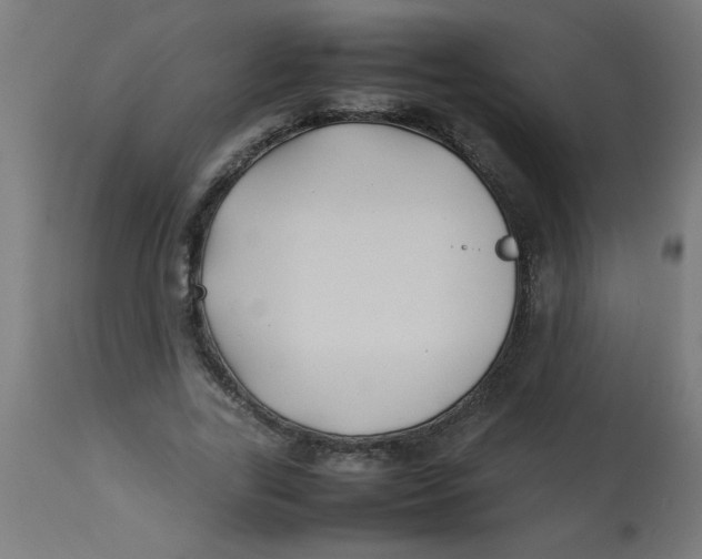 X0000113210731200910081316