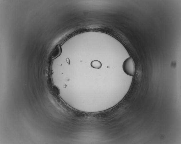 X0000113210732200910081316