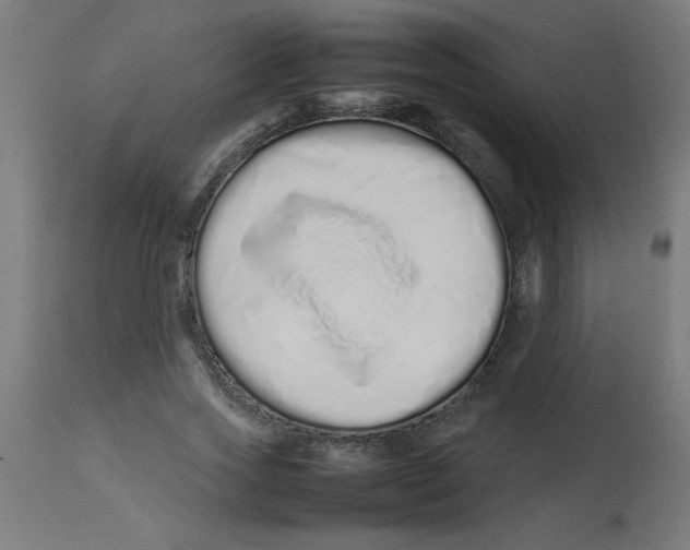 X0000113210733200910081316