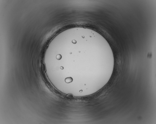 X0000113210734200910081316