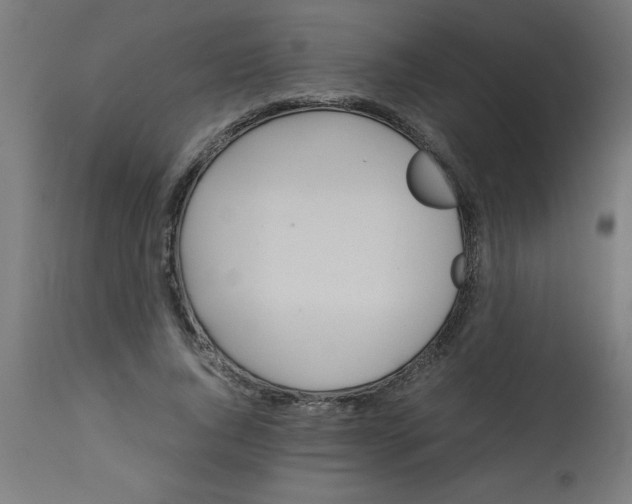 X0000113210736200910081316