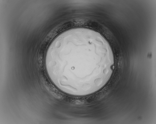 X0000113210737200910081316