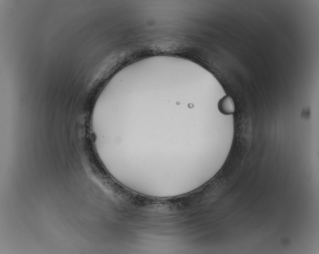 X0000113210738200910081316