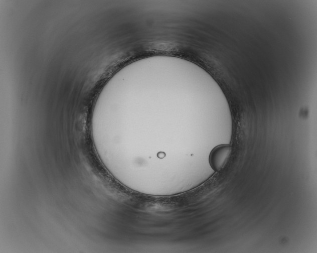 X0000113210739200910081316