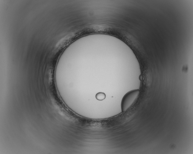 X0000113210740200910081316