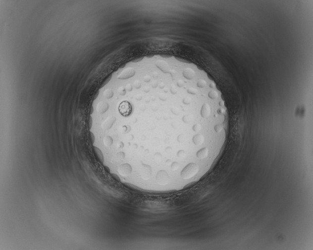 X0000113210741200910081316