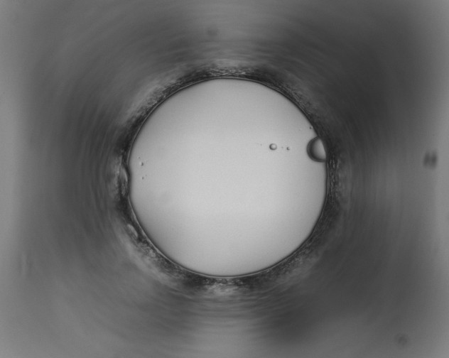 X0000113210742200910081316