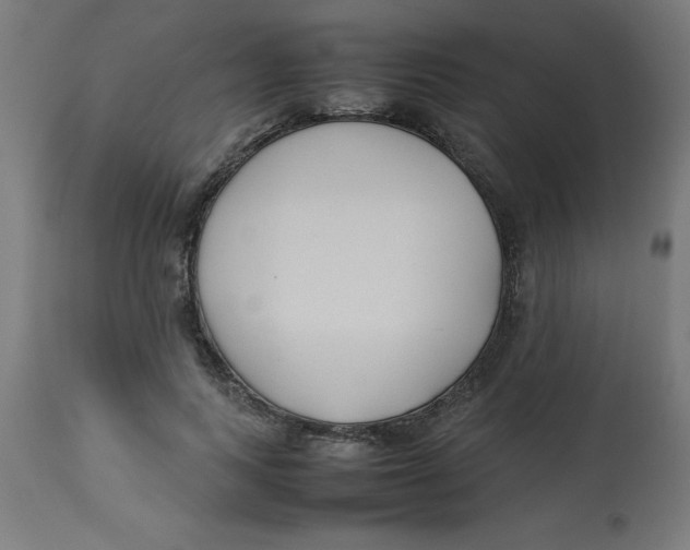 X0000113210743200910081316