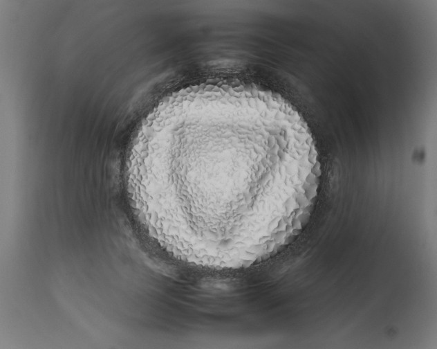 X0000113210745200910081316