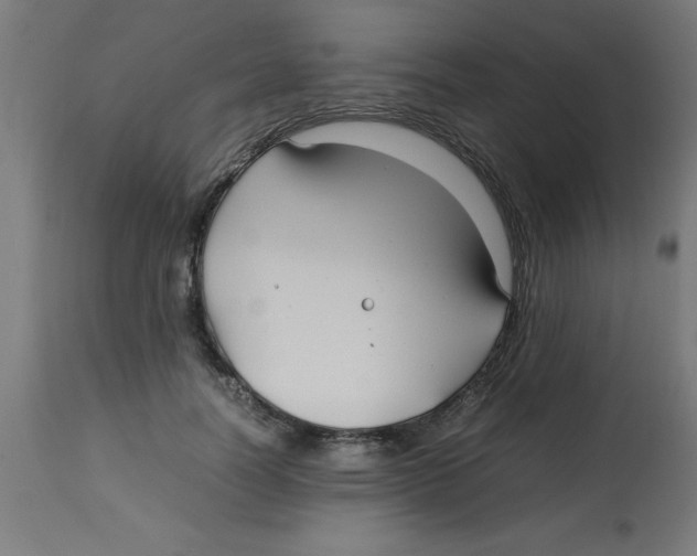 X0000113210746200910081316