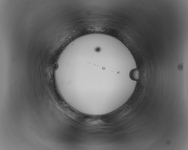 X0000113210747200910081316