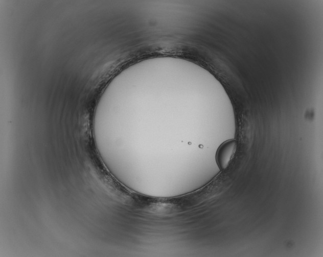 X0000113210748200910081316