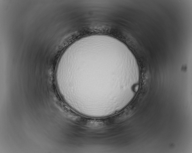 X0000113210749200910081316