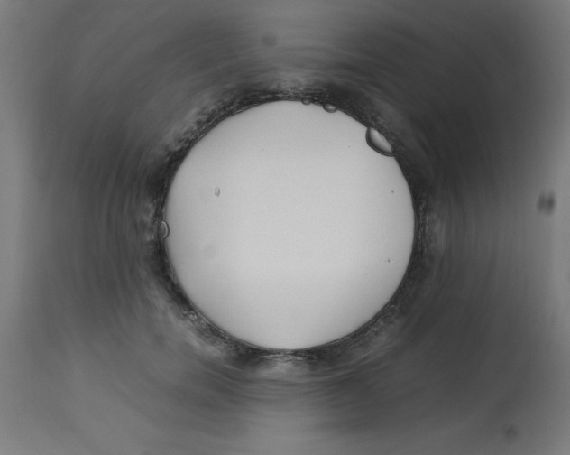 X0000113210750200910081316