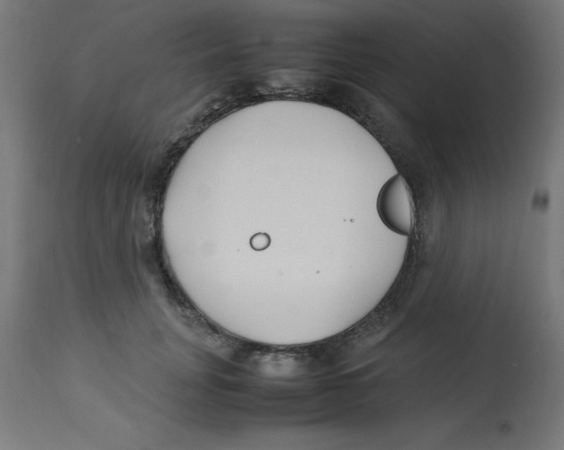 X0000113210751200910081316