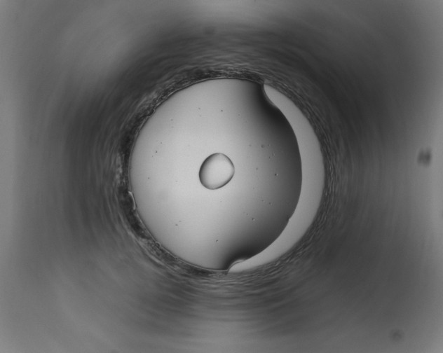 X0000113210752200910081316