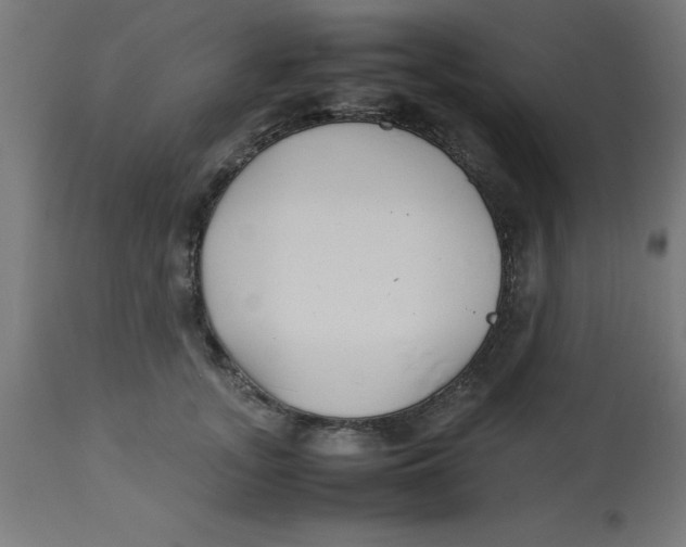 X0000113210755200910081316