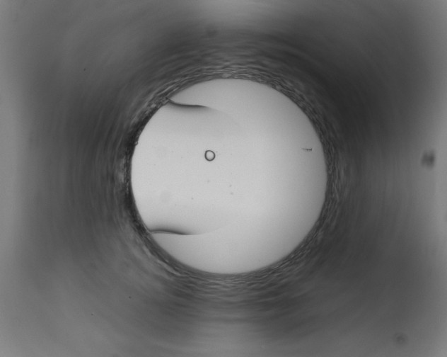 X0000113210756200910081317