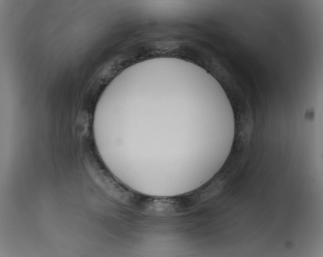 X0000113210758200910081317