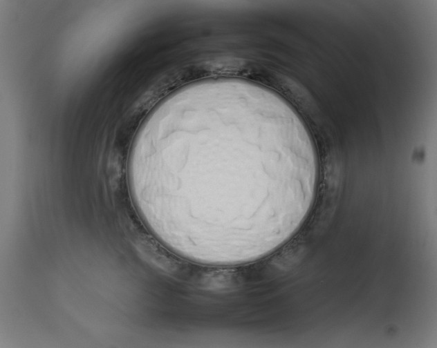 X0000113210761200910081317