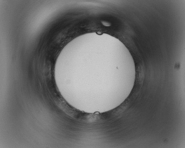 X0000113210762200910081317