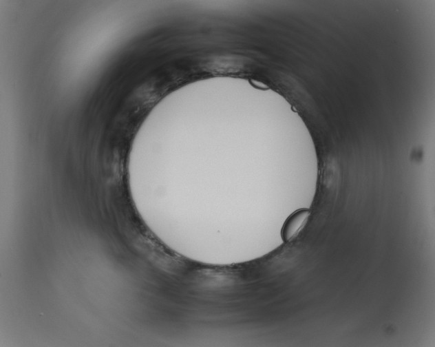 X0000113210763200910081317