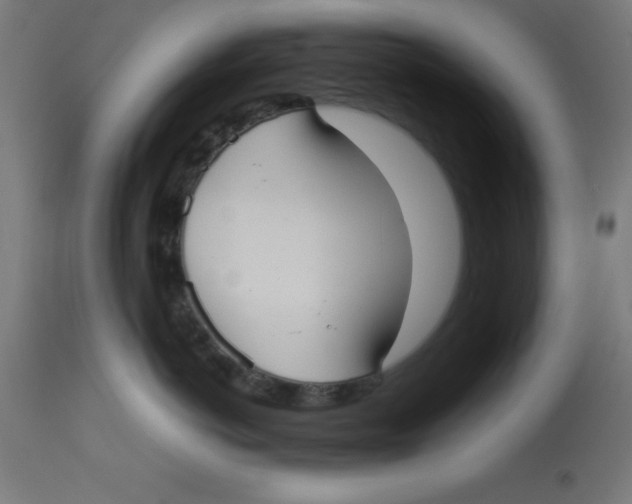 X0000113210766200910081317