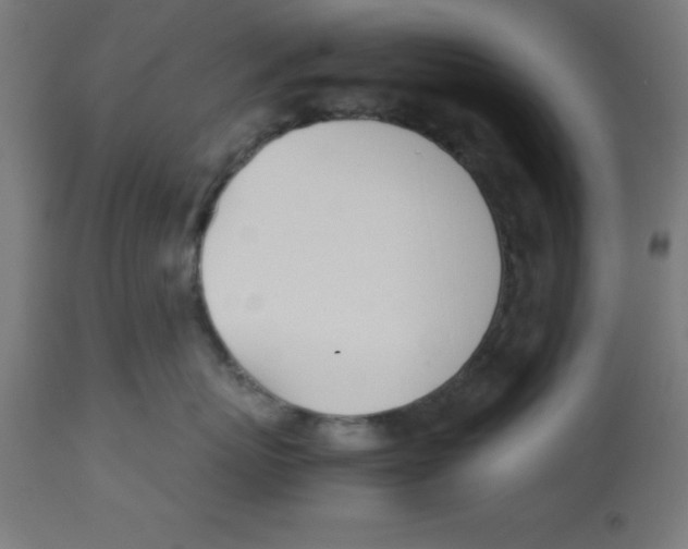 X0000113210767200910081317