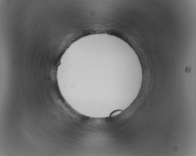 X0000113210768200910081317