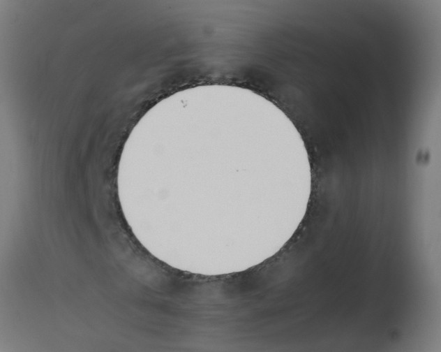 X0000113210769200910081316