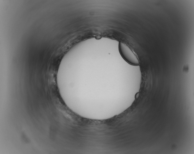 X0000113210770200910081316