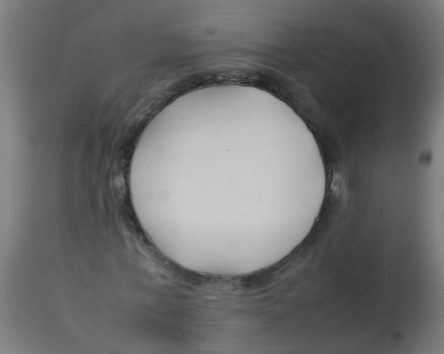 X0000113210771200910081316