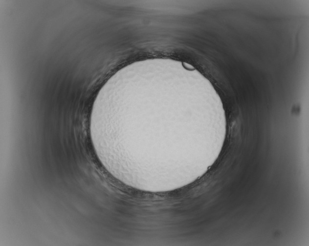 X0000113210772200910081316