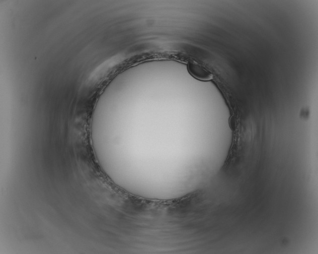 X0000113210773200910081316