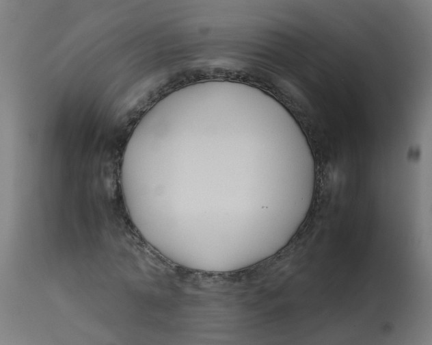 X0000113210774200910081316