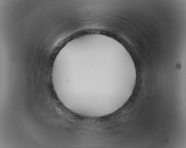 X0000113210775200910081316