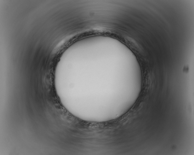 X0000113210776200910081316