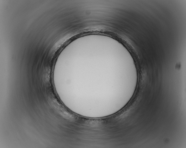 X0000113210778200910081316