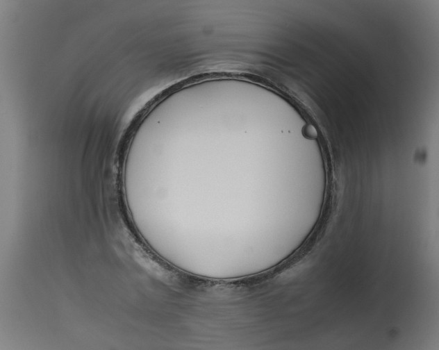 X0000113210779200910081316