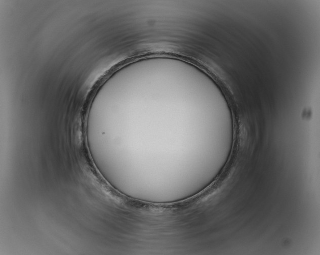 X0000113210782200910081316