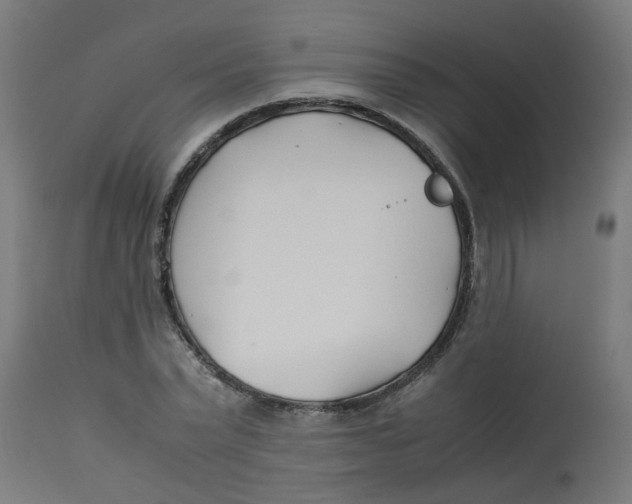 X0000113210783200910081316