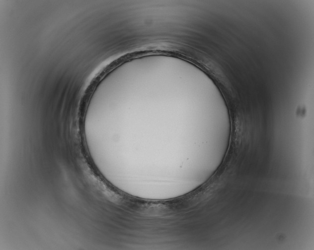 X0000113210784200910081316